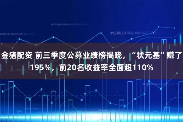 金猪配资 前三季度公募业绩榜揭晓，“状元基”赚了195%，前20名收益率全面超110%