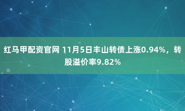 红马甲配资官网 11月5日丰山转债上涨0.94%，转股溢价率9.82%