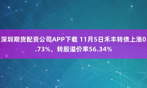 深圳期货配资公司APP下载 11月5日禾丰转债上涨0.73%，转股溢价率56.34%